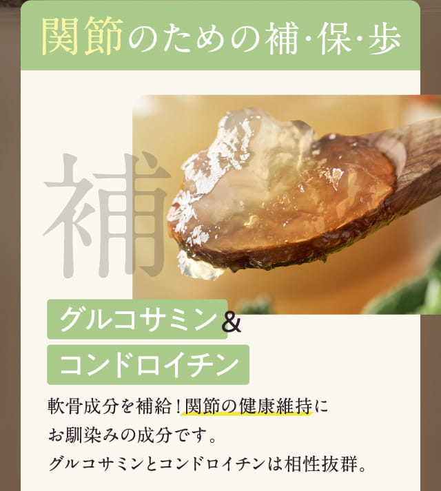 関節のための補・保・歩