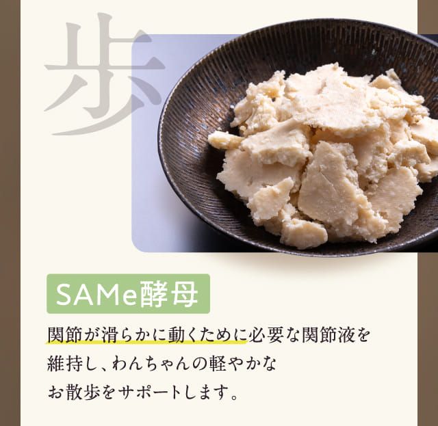SAMe酵母