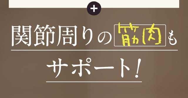 関節周りの筋肉もサポート!