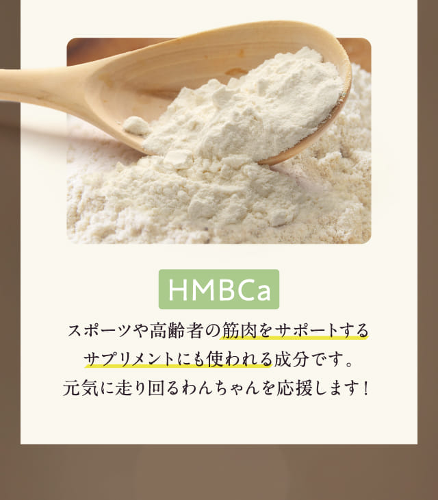 HMBCa
