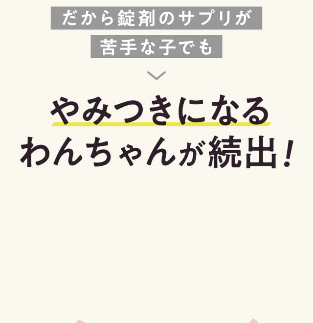 だから錠剤のサプリが苦手な子でもやみつきになるわんちゃんが続出!