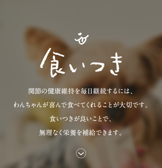 食いつき 関節の健康維持を毎日継続するには、…