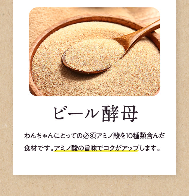 ビール酵母