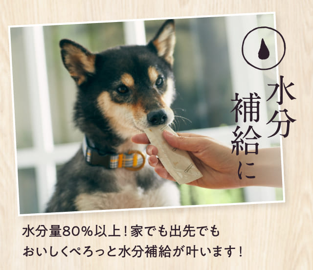 水分補給に 水分量80%以上!家でも出先でもおいしくぺろっと水分補給が叶います!