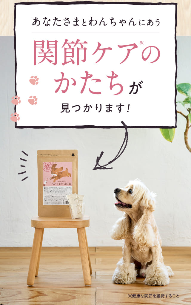 あなたさまとわんちゃんにあう関節ケアのかたちが見つかります!