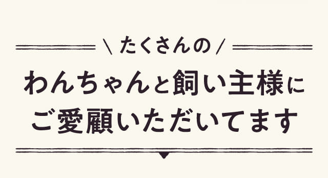 たくさんのわんちゃんと飼い主様にご愛顧いただいてます