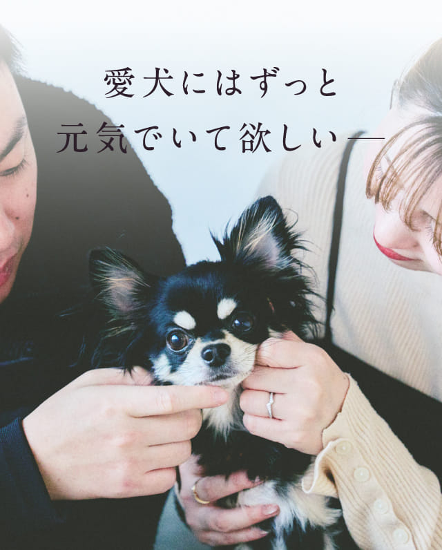 愛犬にはずっと元気でいて欲しい