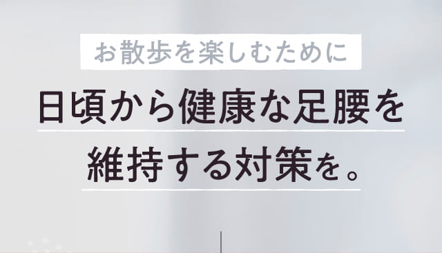 お散歩を楽しむために日頃から健康な足腰を維持する対策を。