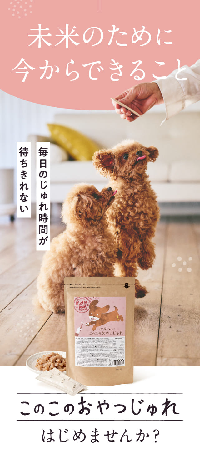 未来のために今からできること このこのおやつじゅれはじめませんか？