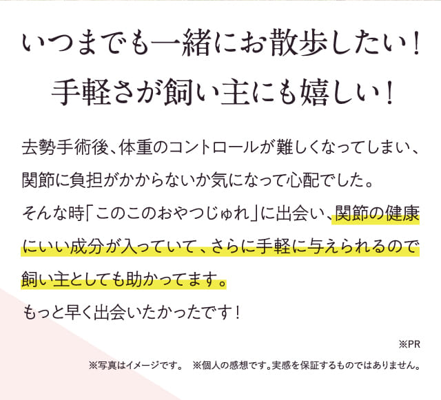 いつまでも一緒にお散歩したい!手軽さが飼い主にも嬉しい!去勢手術後、体重のコントロールが難しくなってしまい、…