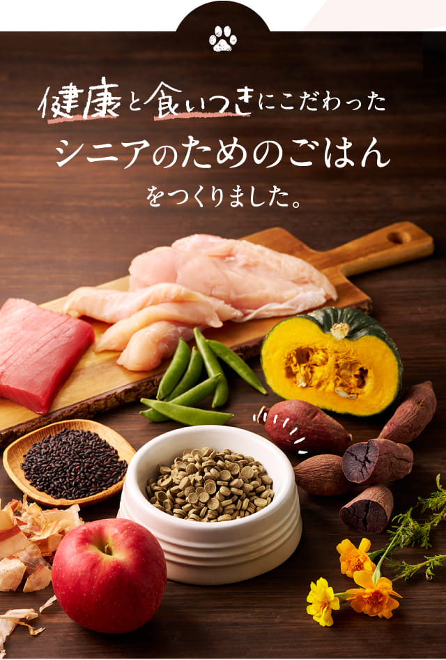 健康と食いつきにこだわったシニアのためのごはんをつくりました。