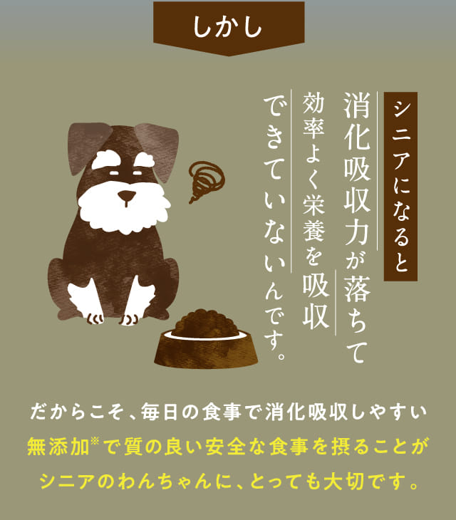 しかしシニアになると消化吸収力が落ちて効率よく栄養を吸収できていないんです。