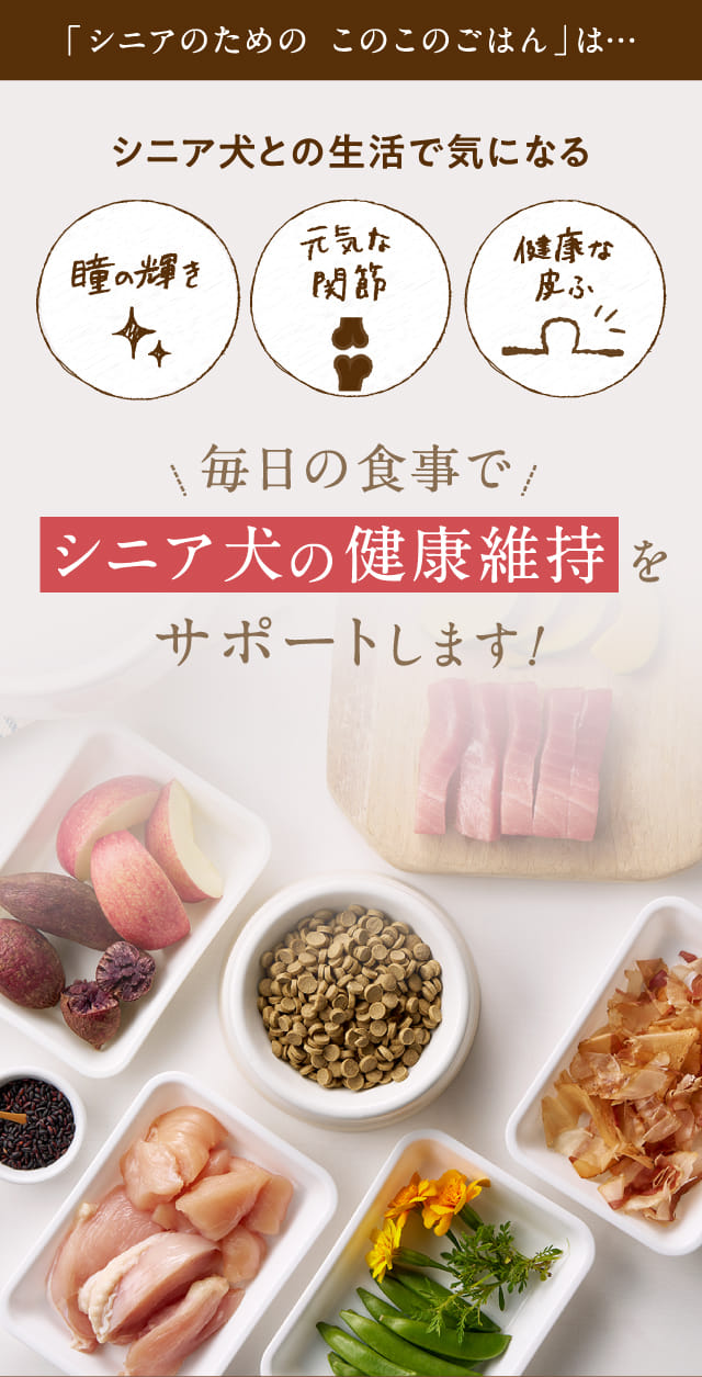 毎日の食事でシニア犬の健康維持をサポートします！