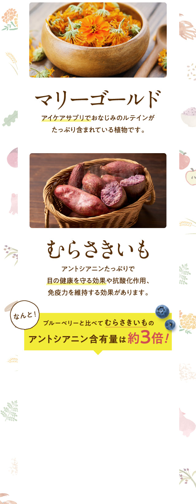 マリーゴールド アイケアサプリでおなじみの...