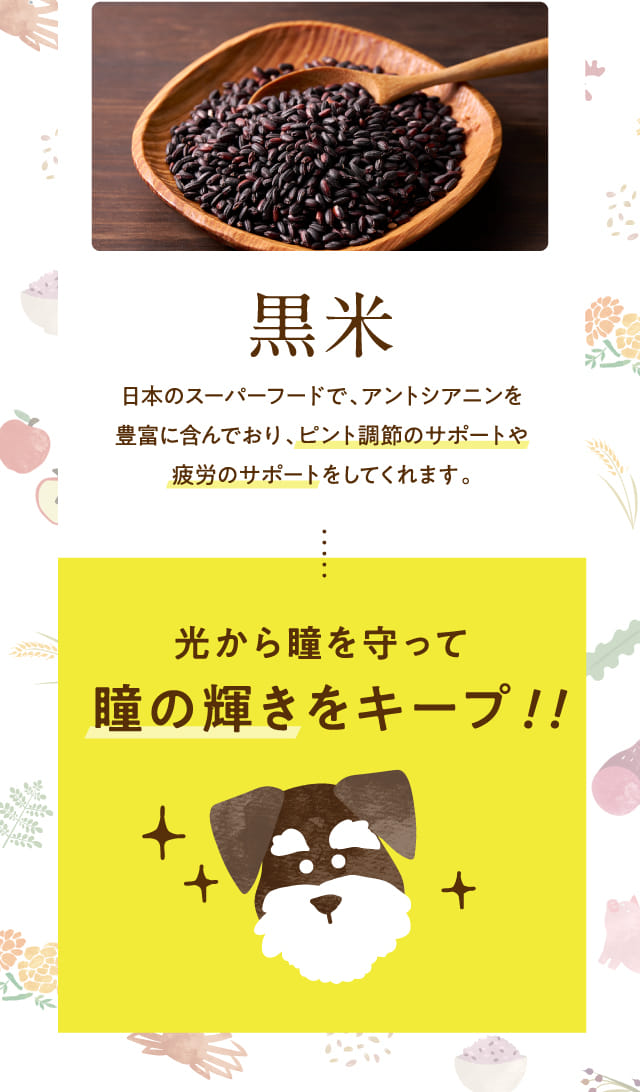 黒米 日本のスーパーフード