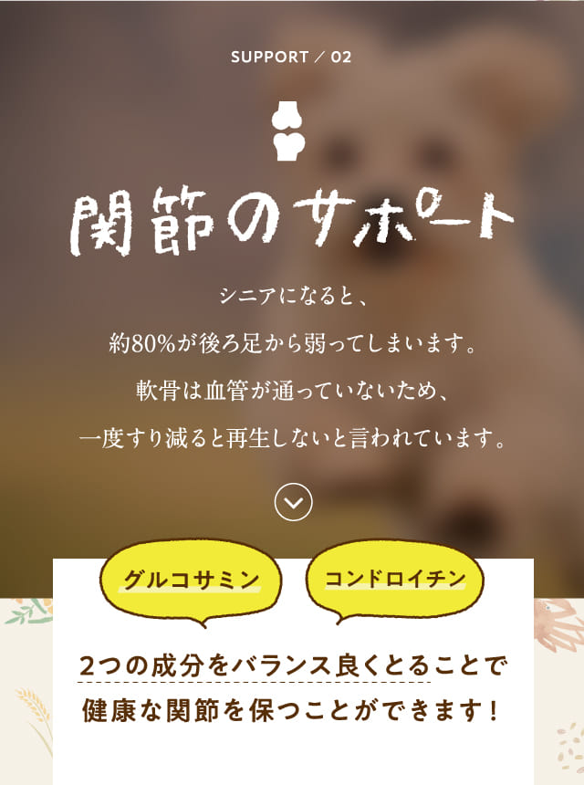 関節のサポート...