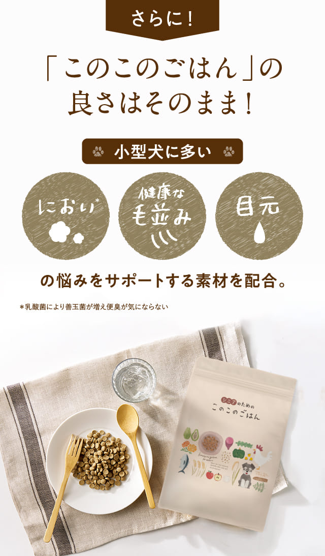 さらに！「このこのごはん」の良さはそのまま！