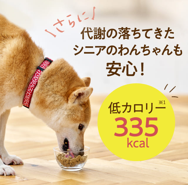 代謝の落ちてきたシニアのわんちゃんも安心！