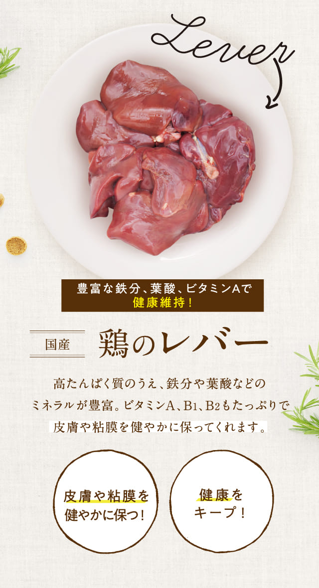 鶏のレバー