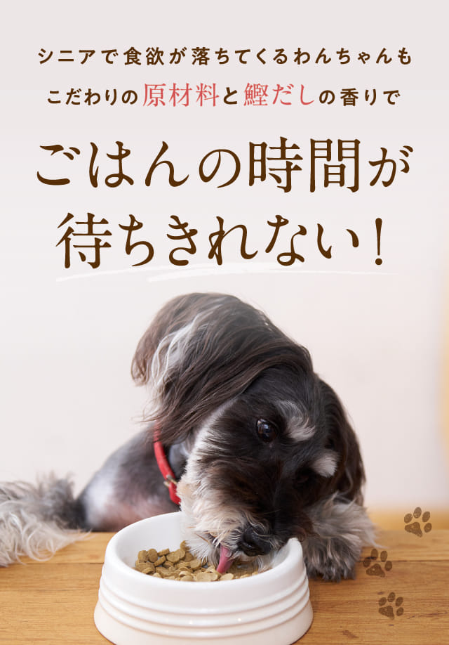 ごはんの時間が待ちきれない！