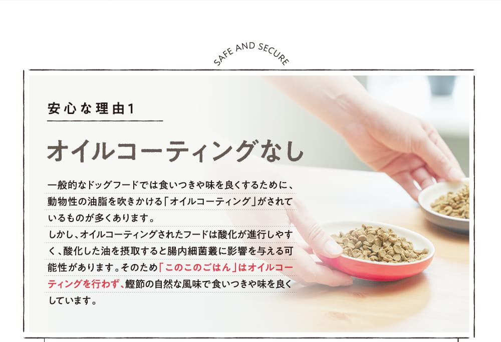 オイルコーティングなし