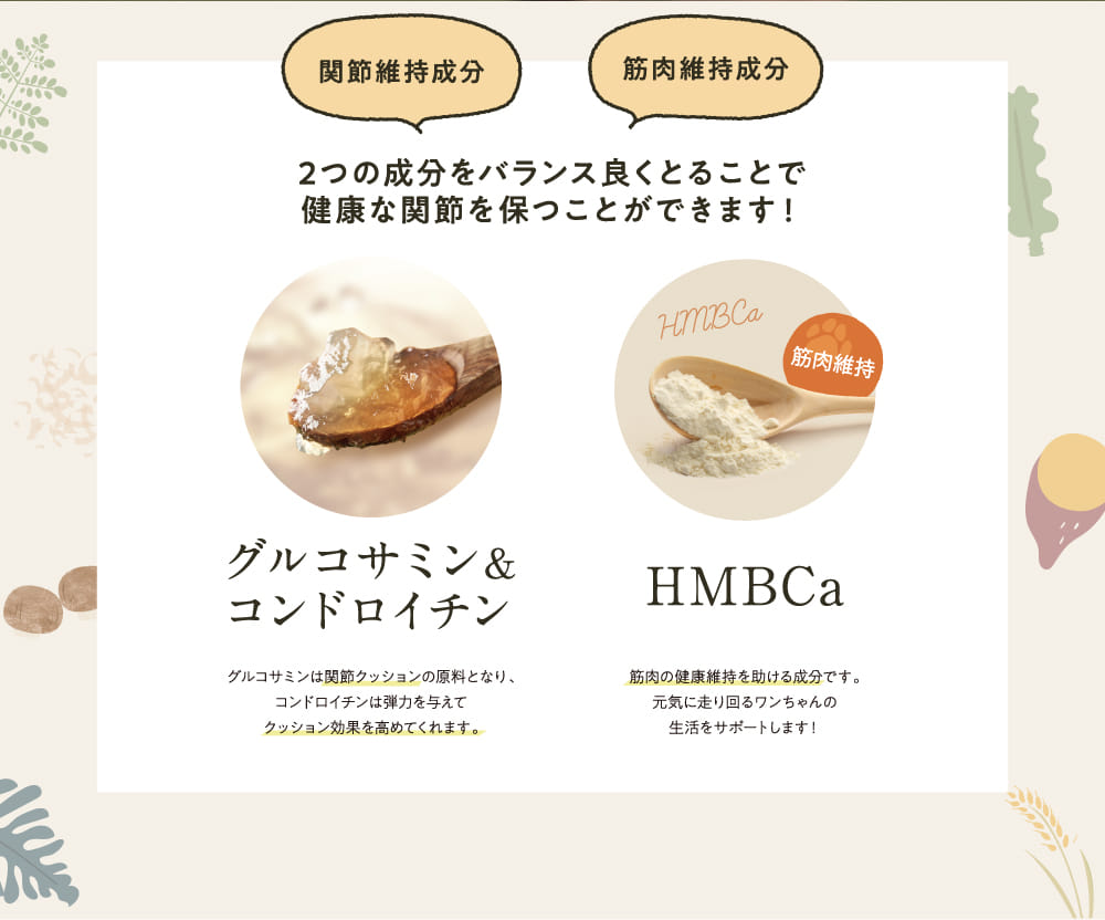 関節＆筋肉にアプローチ！