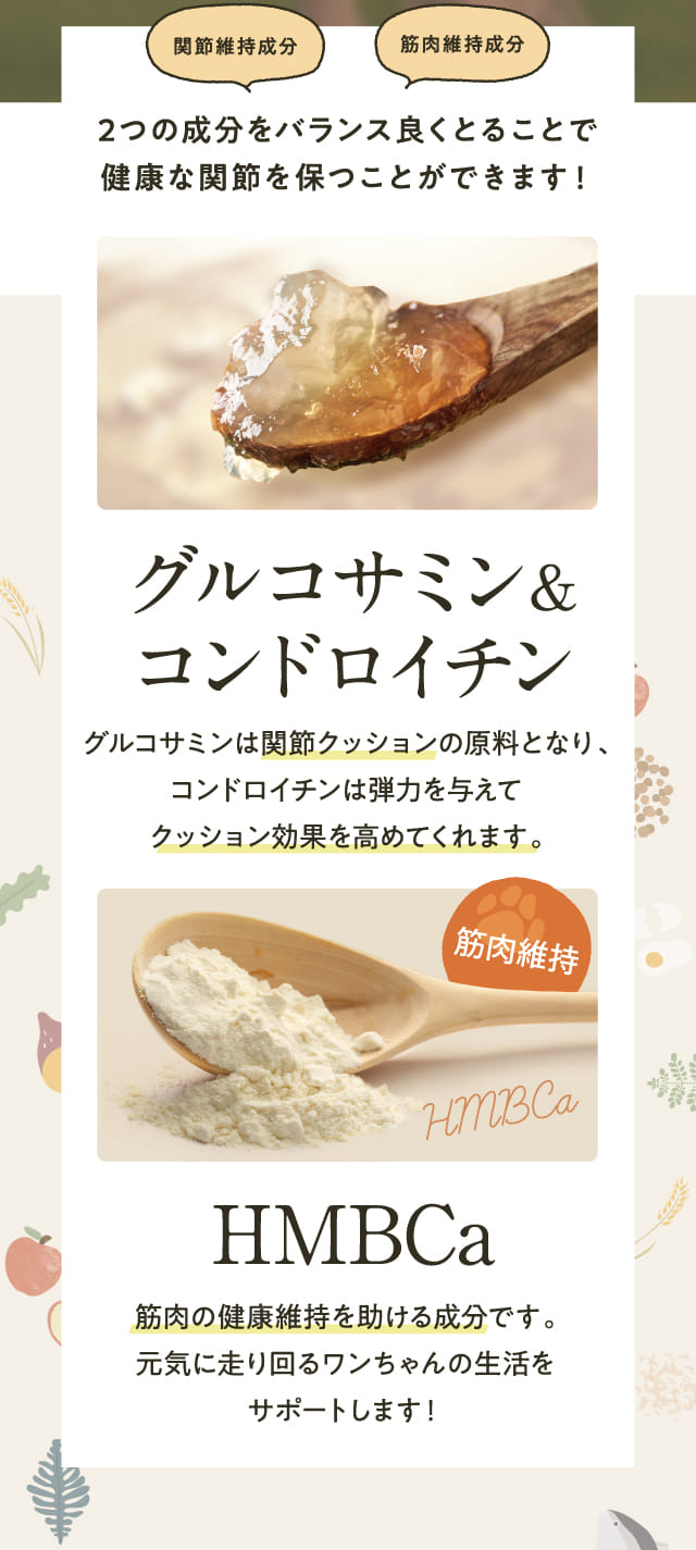 関節＆筋肉にアプローチ！