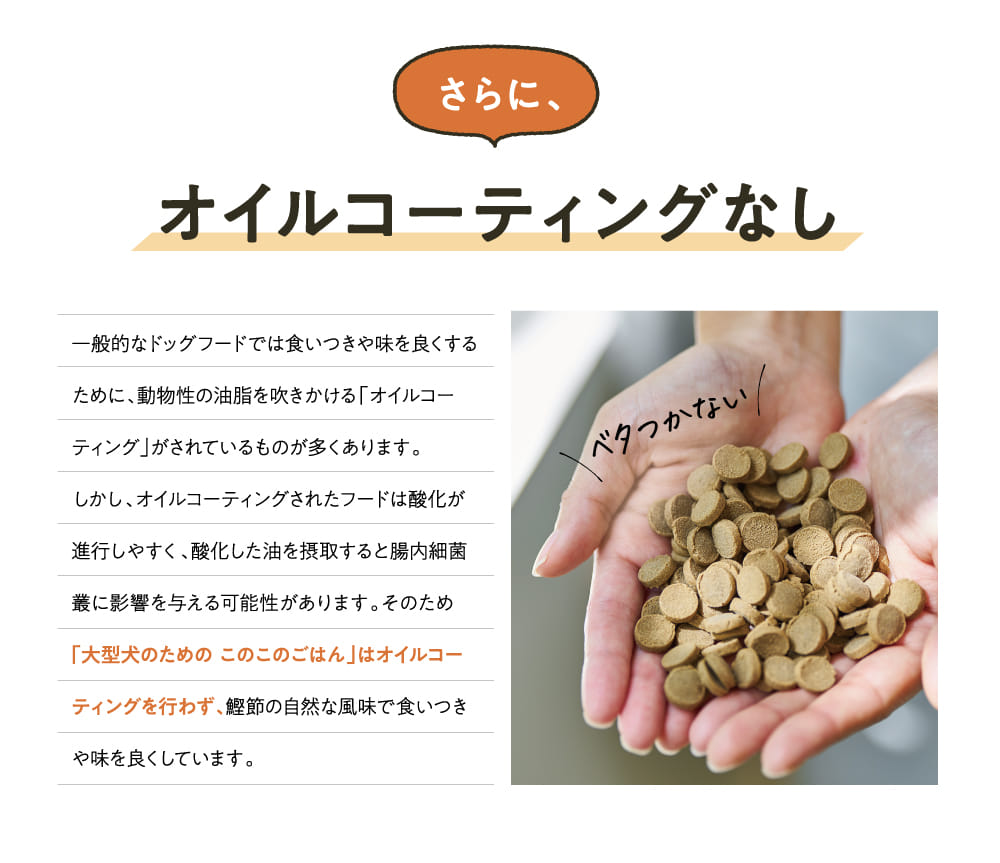 オイルコーディングなし