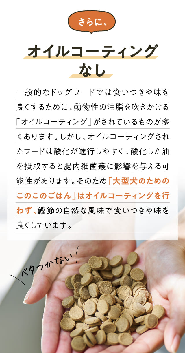 オイルコーディングなし