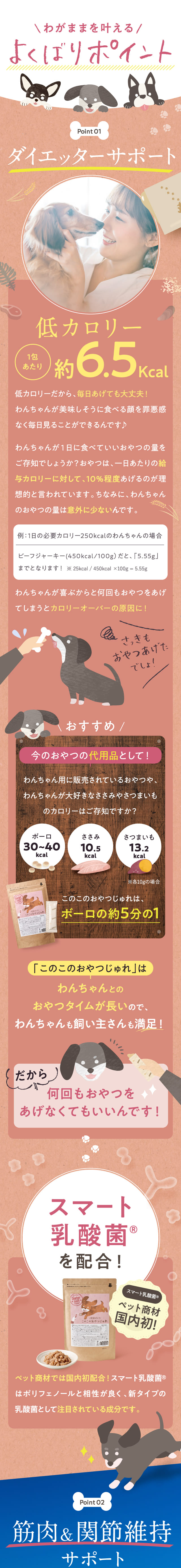 ้ข็ฏใใใ ใใฎใใฎใใใคใใ
ใ