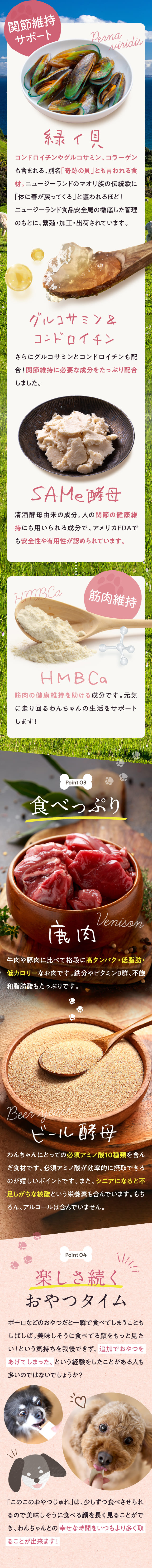 ้ข็ฏใใใ ใใฎใใฎใใใคใใ
ใ