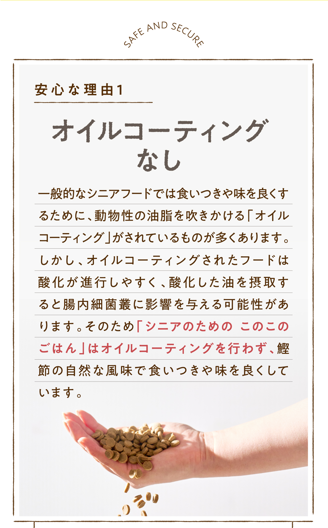 オイルコーディングなし