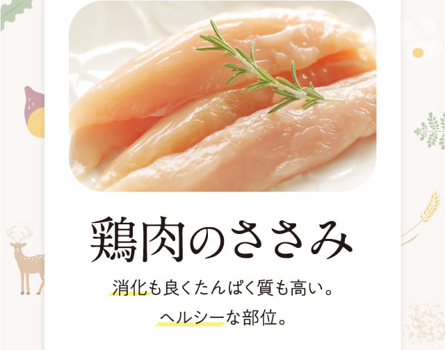 公式】このこのごはん