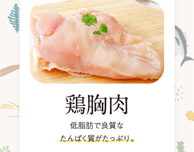 公式】このこのごはん