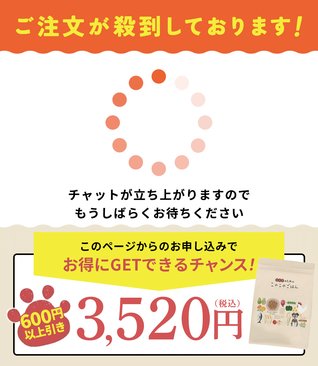 ページ読み込み中