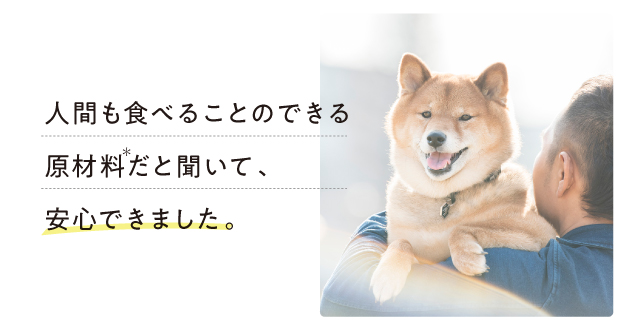 このこのごはん｜コノコトトモニ