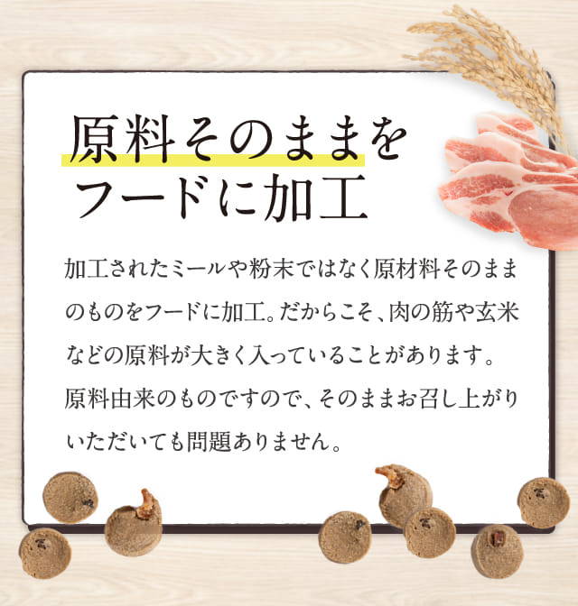このこのごはん　2個セット 公式】このこのごはん