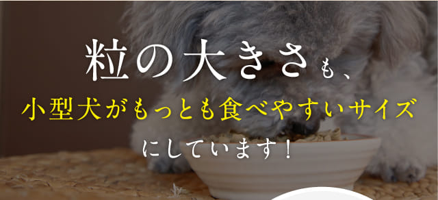 このこのごはん｜コノコトトモニ