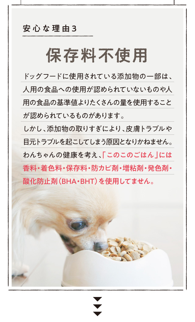 このこのごはん ドライフード 2026年8月賞味期限