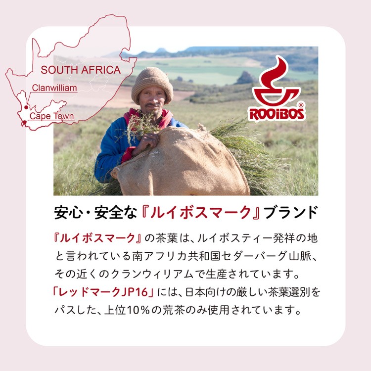【定期便】 ＜機能性表示食品＞ 広貫堂 ルイボス茶 500mL×24本 （1ケース）