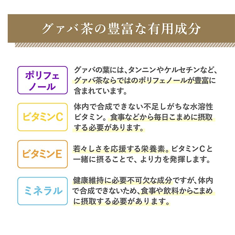 広貫堂  グァバ茶  500ml×24本 （1ケース）