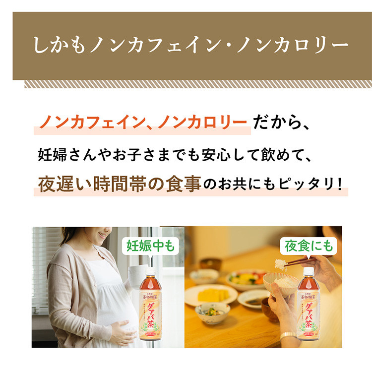 広貫堂  グァバ茶  500ml×24本 （1ケース）