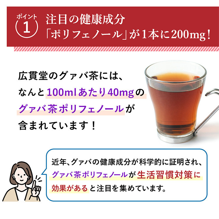 【定期便】 広貫堂 グァバ茶 500ml×24本 （1ケース）