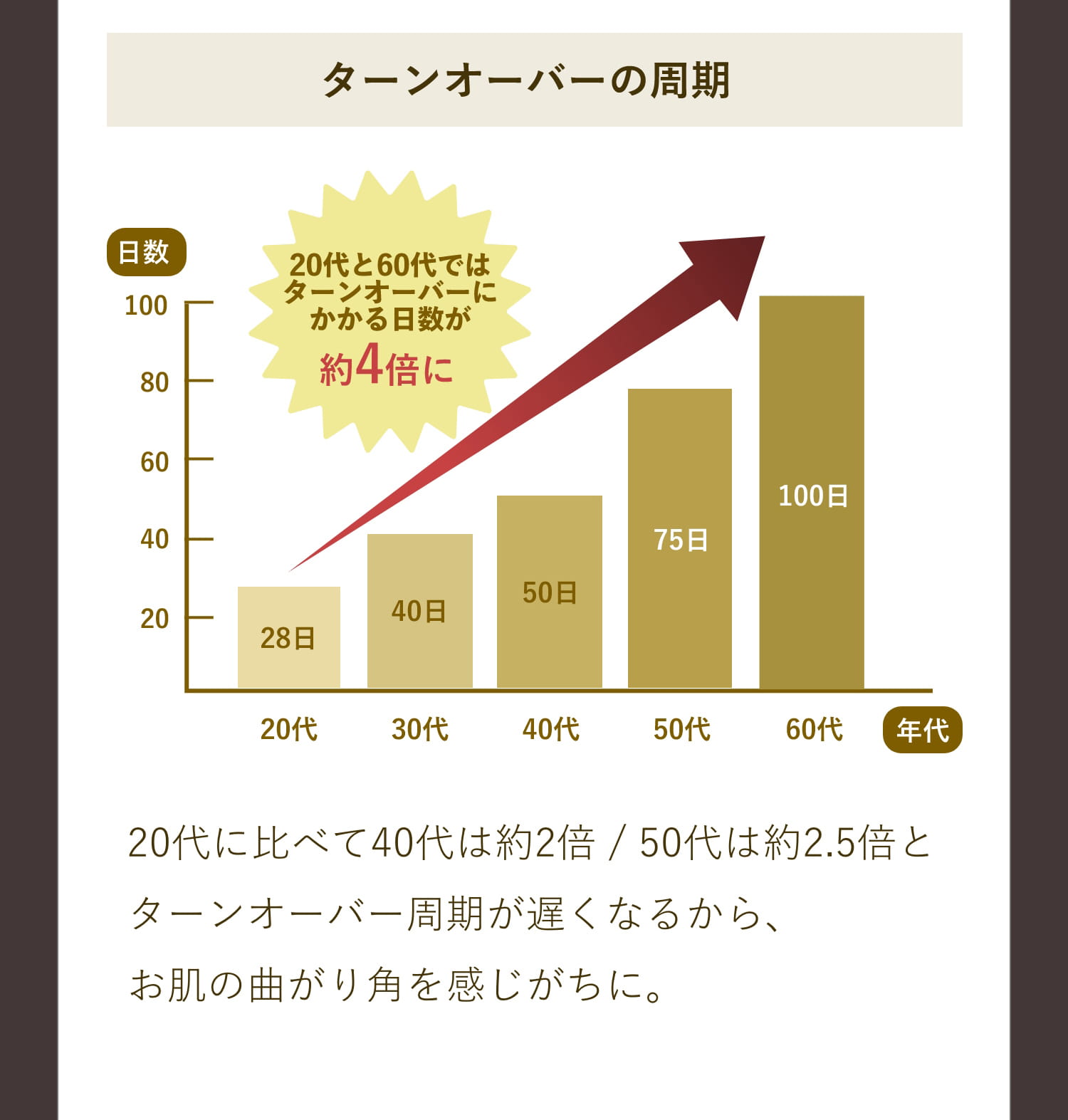 ターンオーバーの周期