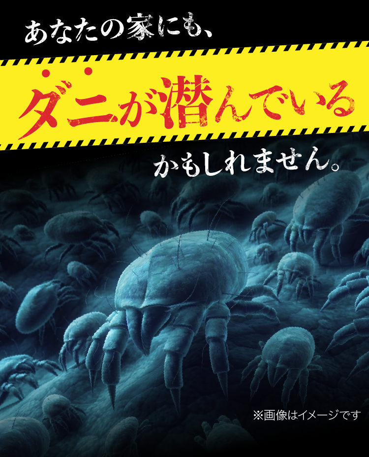 ダニドコダ