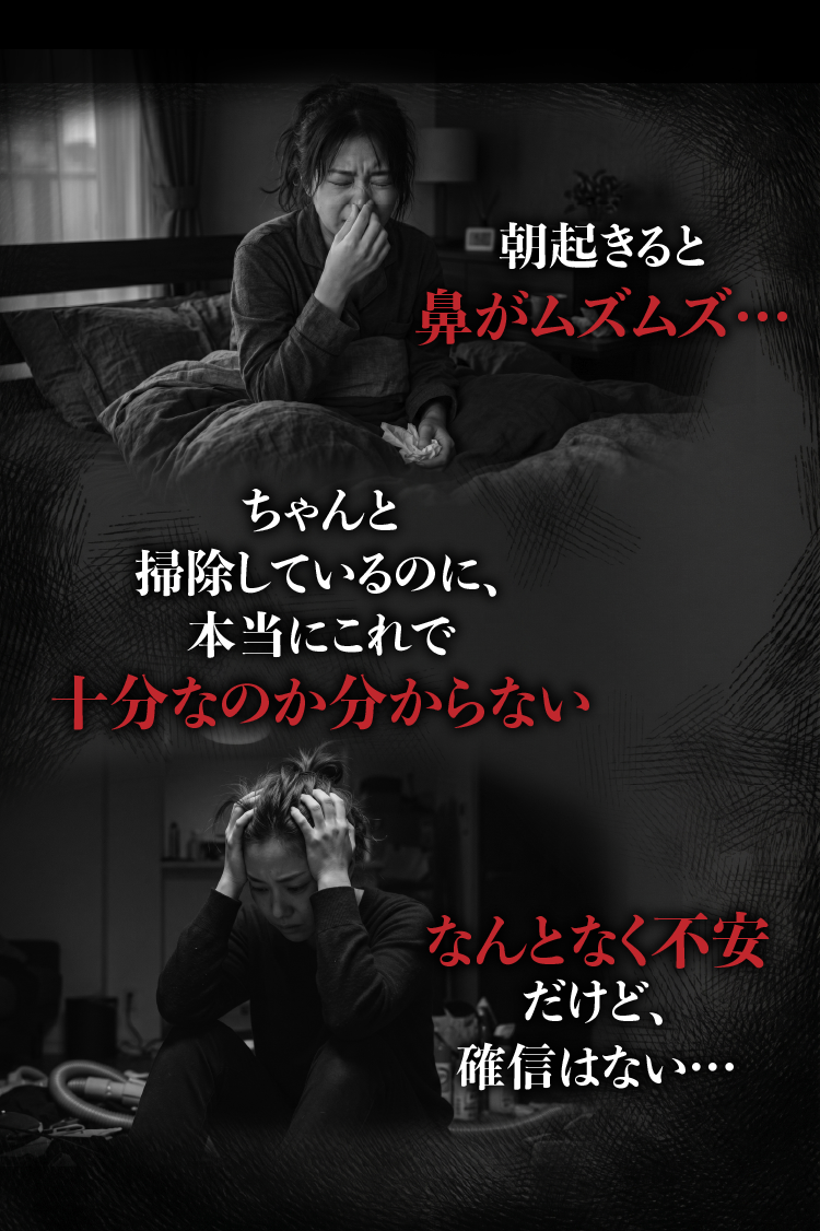 ダニドコダ