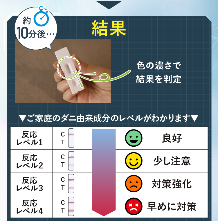 ダニドコダ