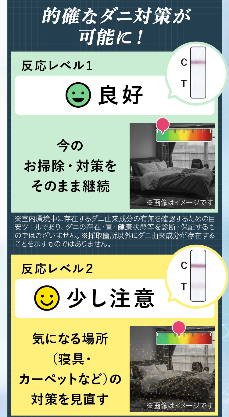 ダニドコダ