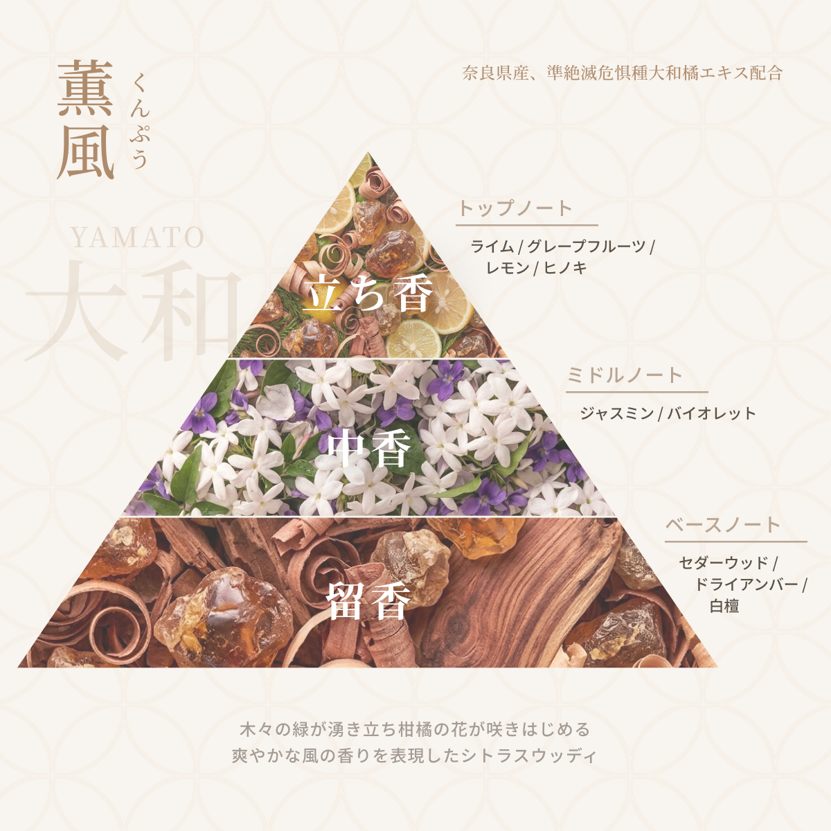 薫風 香りのピラミッド