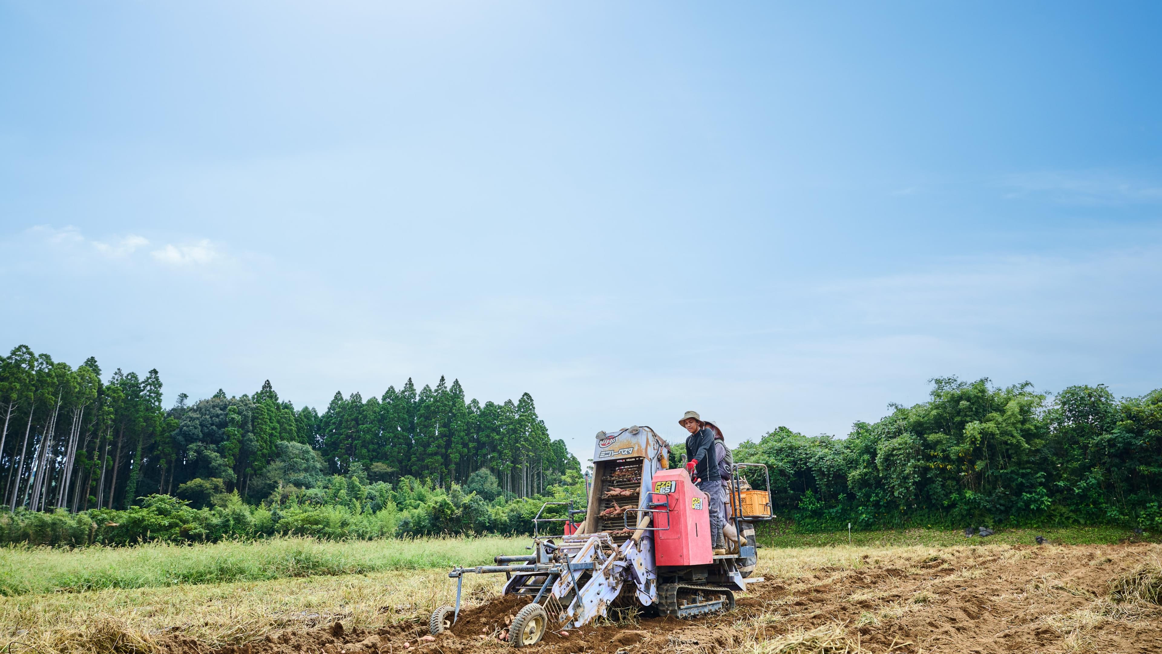 宮崎県日南市の老舗酒蔵 京屋酒造